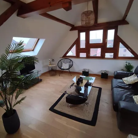 Appartement Tropical Erstein *